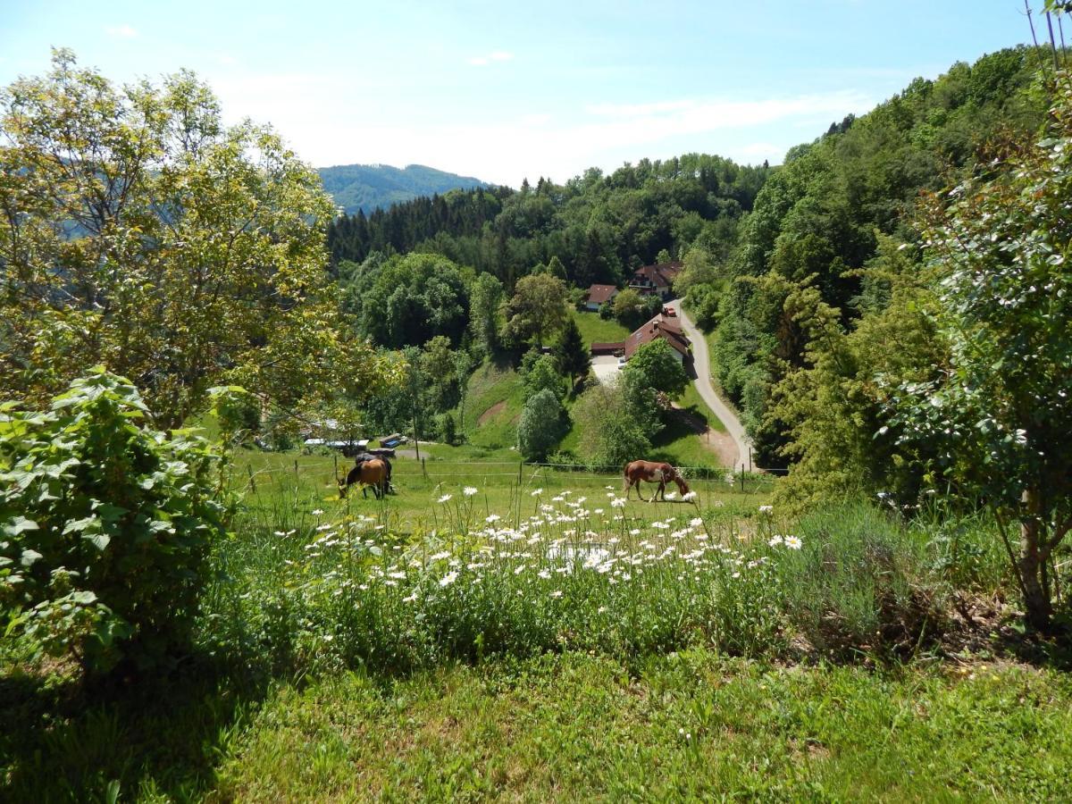 Apartamento Schwedenhaus Raich Kleines Wiesental Exterior foto